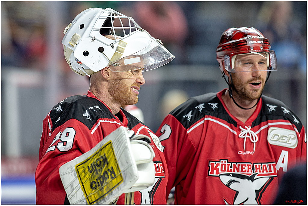 DEL; Koelner Haie - Adler Mannheim, 14.10.2018